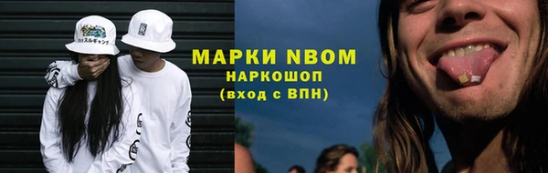 прущие грибы Карпинск