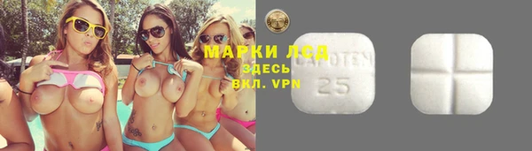прущие грибы Карпинск