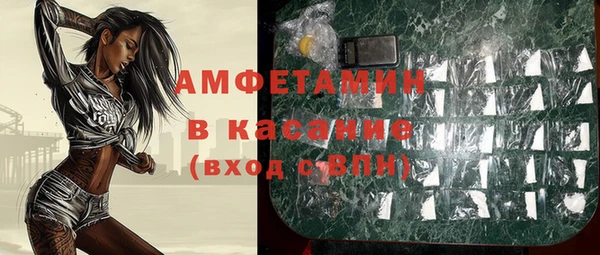 прущие грибы Карпинск