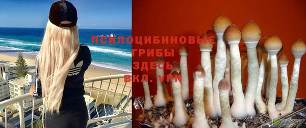 бутират Каменка