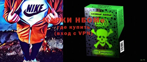 прущие грибы Карпинск