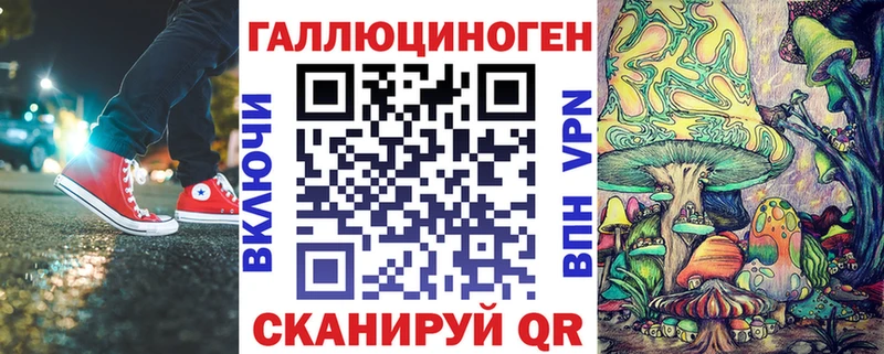 Купить где  Пустошка  Псилоцибиновые грибы Cubensis 