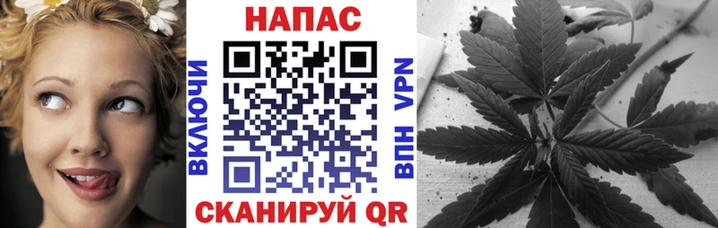 Конопля MAZAR Купить где Пустошка
