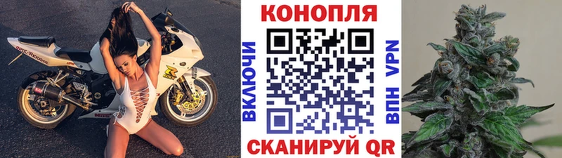 Марихуана план Пустошка